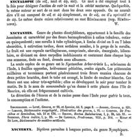 0818 - Page 814 - Nyctalis [J. de Seynes] / Nyctalopie [E. Warlomont] / Nyctantes [G. Planchon] (bibliographie) / Nycterix [Amédée Dechambre] / Nyctipithèque [Künckel]