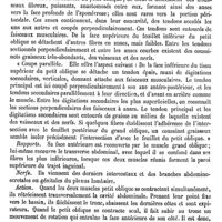 0066 - Page 62 - Obliques de l'abdomen (Muscles) [J. Chauvel] / Obliques de l'oeil (Muscles) [Amédée Dechambre] / Obliques de l'oreille (Muscles) [Amédée Dechambre]