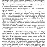 0067 - Page 63 - Obliques de la tête (Muscles) [J. Chauvel] / Obnubilation [Amédée Dechambre] / Obongos [Amédée Dechambre]