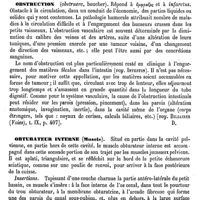 0105 - Page 101 - Obstétrique (Histoire) [A. Chéreau] (bibliographie) / Obstruction [Amédée Dechambre] / Obturateur interne (Muscle) [J. Chauvel]