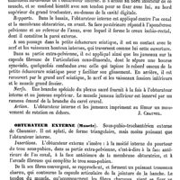 0106 - Page 102 - Obturateur interne (Muscle) [J. Chauvel] / Obturateur externe (Muscle) [J. Chauvel]