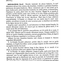 0107 - Page 103 - Obturateur externe (Muscle) [J. Chauvel] / Obturateur (Ligament) [Amédée Dechambre] / Obturateur (Nerf) [J. Chauvel]