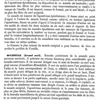 0130 - Page 126 - Obturion [G. Planchon] (bibliographie) / Occipital (Muscle) [Amédée Dechambre] / Occipital (Grand nerf) [J. Chauvel] / Occipital (Os). Voy. Crane et Basilaire