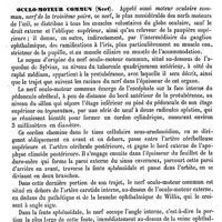 0161 - Page 157 - Oculinides [Ed. Lefèvre] / Oculiste [Amédée Dechambre] / Oculo-moteur commun (Nerf) [Marc Sée]