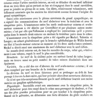 0166 - Page 162 - Oculo-moteur externe (Nerf) [Marc Sée] / Ocymastrum ou Ocimastrum [G. Planchon]