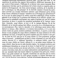 0380 - Page 376 - Oeil. Pathologie. Colobome de l'oeil [Nuel] / Colobome de l'iris [Nuel]