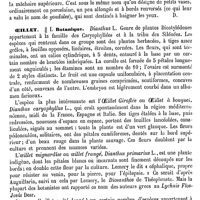 0422 - Page 418 - Oeil-de-perdrix (Botanique) [G. Planchon] / Oeil-de-perdrix (Pathologie). Voy. Cor / Oeil-de-soleil [G. Planchon] / Oeil-de-vache [G. Planchon] / Oeillère [Amédée Dechambre] / Oeillet / Botanique [G. Planchon]