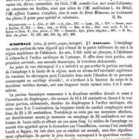 0440 - Page 436 - Oenothère [H. Baillon] (bibliographie) / Oesophage / Anatomie [Michel]