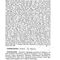0533 - Page 529 - Oesophage. Médecine opératoire [Michel] (bibliographie) / Oesophagiennes (Artères). Voy. Oesophage / Oesophagisme [H. Bernheim]