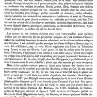 0560 - Page 556 - Oestres, Oestrides [A. Laboulbène]