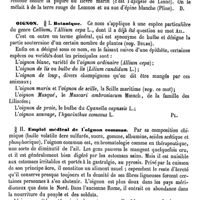 0690 - Page 686 - Oie. Bromatologie et hygiène industrielle [Alexandre Layet] / Emploi thérapeutique [Amédée Dechambre] / Oignon / Botanique [G. Planchon] / Emploi médical de l'oignon commun [Amédée Dechambre]