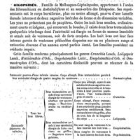 0691 - Page 687 - Oignon. Emploi médical de l'oignon commun [Amédée Dechambre] / Oigopsidés [Ed. Lefèvre]