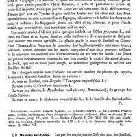 0130 - Page 126 - Olivier. Botanique [G. Planchon] (bibliographie) / Matière médicale [L. Hahn]