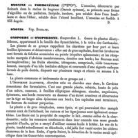 0435 - Page 431 - Onomancie. Voy. Divination [Amédée Dechambre] / Onondagas. Voy. Amérique [Amédée Dechambre] / Ononétine [Amédée Dechambre] / Ononine ou Formonétine [Amédée Dechambre] / Ononis. Voy. Bugrane / Onoporde ou Onopordone [G. Planchon] (bibliographie)