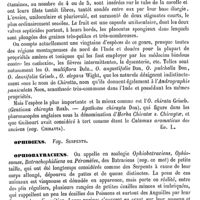 0630 - Page 626 - Ophélia [Ed. Lefèvre] / Ophidiens. Voy. Serpents / Ophiobatraciens [E. Oustalet]