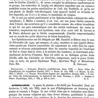 0631 - Page 627 - Ophiobatraciens [E. Oustalet] (bibliographie) / Ophioglosse [Eug. Fournier]