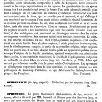 0632 - Page 628 - Ophioglosse [Eug. Fournier] / Ophiomancie [Amédée Dechambre] / Ophiomore [E. Oustalet] (bibliographie)