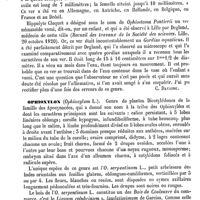 0634 - Page 630 - Ophiostome [C. Davaine] / Ophioxylon [Ed. Lefèvre]