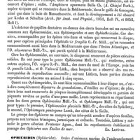 0636 - Page 632 - Ophiures [Ed. Lefèvre] / Ophiurides [Ed. Lefèvre]