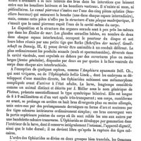 0637 - Page 633 - Ophiurides [Ed. Lefèvre] / Ophrys [Ed. Lefèvre]