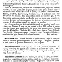 0139 - Page 135 - Opisthobranches [Ed. Lefèvre] / Opisthocrane [Amédée Dechambre] / Opisthocyphose [Amédée Dechambre] / Opisthognathisme [Amédée Dechambre] / Opisthotonos [Amédée Dechambre] / Opitz (Rudolph-Karl-Friedrich) [L. Hahn]