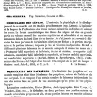 0531 - Page 527 - Orang-Outan [E. Oustalet] (bibliographie) / Ora serrata. Voy. Choroïde, Ciliaire et Oeil / Orbiculaire des lèvres [A. Le Double] / Orbiculaire des paupières [A. Le Double]