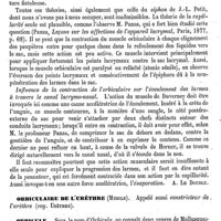 0543 - Page 539 - Orbiculaire des paupières [A. Le Double] / Orbiculaire de l'urèthre (Muscle). Voy. Urèthre / Orbicule [Ed. Lefèvre]