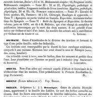 0548 - Page 544 - Oribase [L. Leclerc] / Oribate [A. Laboulbène] / Oricia [G. Planchon] / Orient (Écoles médicales d'). Voy. Écoles / Origan / Botanique [G. Planchon]