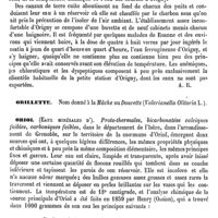 0552 - Page 548 - Origny (Eaux minérales d') [A. Rotureau] / Orillette [G. Planchon] / Oriol (Eaux de minérales d') [A. Rotureau]