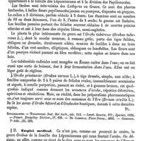 0571 - Page 567 - Orobanche [G. Planchon] (bibliographie) / Orobe / Botanique [G. Planchon] / Emploi médical [Ernest Labbée]