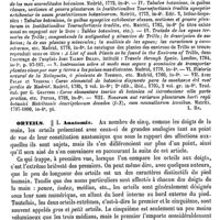 0616 - Page 612 - Ortega (Les) [L. Hahn] (bibliographie) / Orteils / Anatomie [V. Paulet]