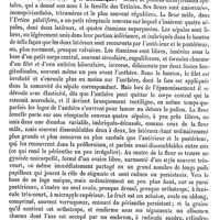 0750 - Page 746 - Orthoscope [Amédée Dechambre] / Ortie / Botanique [H. Baillon]