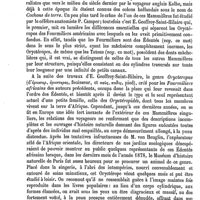 0761 - Page 757 - Orviétan [Amédée Dechambre] / Oryctérope [E. Oustalet]