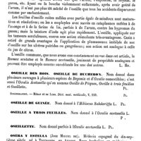 0375 - Page 371 - Oseille. Emploi médical [L. Hahn] / Oseille des bois, Oseille de bucheron [G. Planchon] (bibliographie) / Oseille de Guinée [G. Planchon] / Oseille à trois feuilles [G. Planchon] / Oseillette [G. Planchon] / Osera y Estella (Jose Miguel de) [L. Hahn] / Oseretskowski ou Ozeretskowski (Nicolas) [L. Hahn]