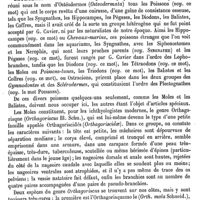 0513 - Page 509 - Ostéocolle, ou Ostéolithe [Amédée Dechambre] / Ostéocollon [G. Planchon] / Ostéocope [Amédée Dechambre] / Ostéodermes [E. Oustalet]
