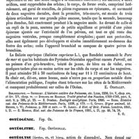 0514 - Page 510 - Ostéodermes [E. Oustalet] (bibliographie) / Ostéogénie. Voy. Os / Ostéolithe. Voy. Ostéocolle / Ostéolyse [Amédée Dechambre] / Ostéomalacie [Albert Hénocque]
