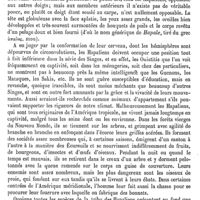 0637 - Page 633 - Ouistitis [E. Oustalet]