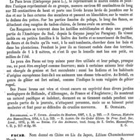 0623 - Page 619 - Paca [E. Oustalet] (bibliographie) / Pacab [G. Planchon] / Pacae, Pacaes [G. Planchon] / Pacal [G. Planchon]