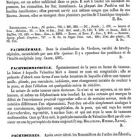0627 - Page 623 - Pachira (Aubl.) [H. Baillon] (bibliographie) / Pachycéphale [Amédée Dechambre] / Pachydermatocèle [Amédée Dechambre] / Pachydermes [E. Oustalet]