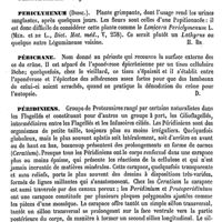 0098 - Page 94 - Péricarpe [G. Planchon] / Périchondre. Voy. Périoste / Periclymenum (Diosc.) [H. Baillon] / Péricrâne [Amédée Dechambre] / Péridiniens [F. Henneguy]