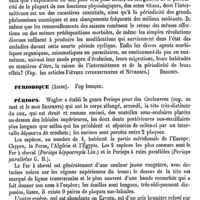 0136 - Page 132 - Périodicité [B. Brochin] / Periodique (Acide). Voy. Iodique / Périops [H.-E. Sauvage] (bibliographie)