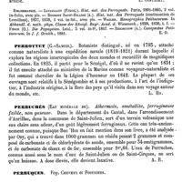 0521 - Page 517 - Perroquets [E. Oustalet] (bibliographie) / Perrottet (G.-Samuel) [L. Hahn] / Perruchés (Eau minérale de) [A. Rotureau] / Perruques. Voy. Cheveux et Postiches / Per se (Précipité) [L. Hahn] / Perse / Géographie médicale [G. Liétard]