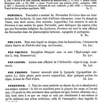 0612 - Page 608 - Pervenche. Emploi médical [Charles Éloy] (bibliographie) / Pervinca [H. Baillon] / Pes cati [Ed. Lefèvre] / Pes equinus [Ed. Lefèvre] / Pes leonis [Ed. Lefèvre] / Pes ursinus [Ed. Lefèvre] / Pesanteur [C.-M. Gariel]