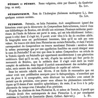 0774 - Page 770 - Pétrole (Chimie) [Ch. Blarez] / Pétrole (Botanique) [Ed. Lefèvre] / Pétron ou Pétrot [Ed. Lefèvre] / Pétroncianum [Ed. Lefèvre] / Petronio [L. Hahn] / Petronius (Alessandro-Trajano) [L. Hahn] (bibliographie)