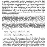 0780 - Page 776 - Peucédanine [L. Hahn] / Peucer (Gaspard) [A. Dureau] (bibliographie) / Peuls. Voy. Foulahs et Sénégambie / Peulvans. Voy. Dolmen et Celtes / Peumus (Mol.) / Botanique [H. Baillon]