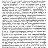 0781 - Page 777 - Peumus (Mol.). Botanique [H. Baillon] (bibliographie) / Emploi médical [Édouard Heckel]