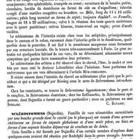 0006 - Page 2 - Sclérostomes [C. Davaine] / Sclérostomiens (Dujardin) [C. Davaine]