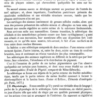 0017 - Page 13 - Sclérotique. Anatomie [A. Gayet] / Physiologie [A. Gayet]