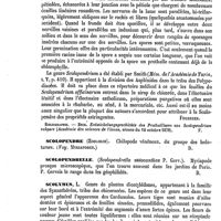 0036 - Page 32 - Scoliose. Voy. Rachis (déviation) / Scolopendre (Botanique) [Henri Fournier] (bibliographie) / Scolopendre (Zoologie) [Amédée Dechambre] / Scolopendrelle [Amédée Dechambre] / Scolymus [G. Planchon]
