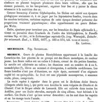 0421 - Page 417 - Séche ou Seiche [Ed. Lefèvre] / Sechelles. Voy. Seychelles / Sechium [G. Planchon] (bibliographie) / Séchoir / Pharmacie [Amédée Dechambre] / Hygiène. Voy. Lavoir